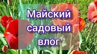 🌷🌷🌷🌱🌱Садовый влог//Показываю что растет 🌱🌱🌷🌷🌷