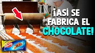 ¿Cómo Se Hace El Chocolate? [Proceso En Fábrica]