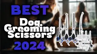 Top Best Dog Grooming Scissors in 2024 & Buying Guide - Must Watch Before Buying!