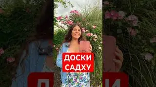 Доски Садху #астрология #гвоздестояние #эзотерика