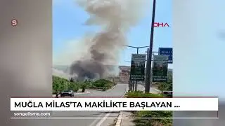 MUĞLA Milas'ta makilikte başlayan yangın, kontrol altına alındı