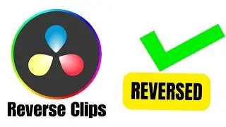 How to Reverse Clips in Davinci Resolve WORKS TODAY!