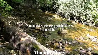 Nature's river pathways in 4K