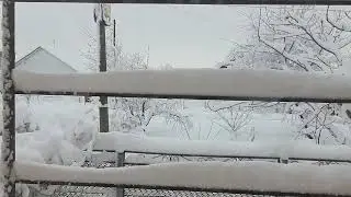 Зима на юге. Снег в Краснодарском крае.
