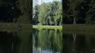 Я ВИЖУ НЕБО...В НЁМ ТИШИНА.🕊🍃🌸🕊🍃🌸🕊🍃🌸🕊🍃🌸🕊🍃🌸🕊🍃🌸🕊🍃🌸🕊🍃🌸🕊🍃🌸🕊🍃🌸🕊🍃