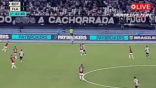 LIVE 🔴 BOTAFAGO vs FLAMENGO|  BRASILEIRÃO 2024/25 | Live Stream | MATCH RECREATION