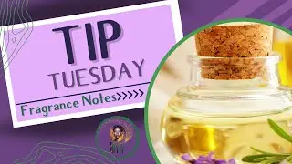 Tip Tuesday: Fragrance Notes