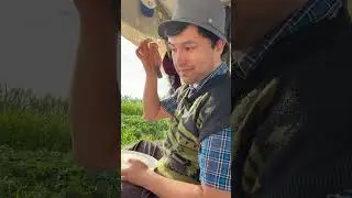 Shaharlik yigitlar qishloqda 2-qism
