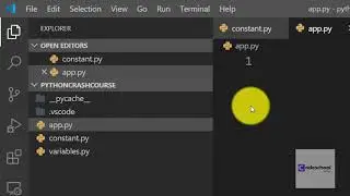 Constants in Python | python tutorial in nepali