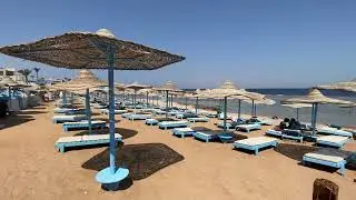 Rehana Royal Beach Resort & Spa и Rehana Sharm Resort - Aquapark & Spa Популярный отель Свежий обзор