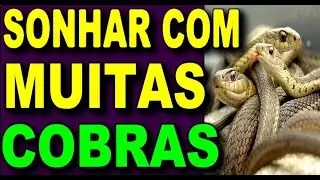 SONHAR COM MUITAS COBRAS - O que Significa Sonhar Com Cobra? Significado de sonhar com várias cobras