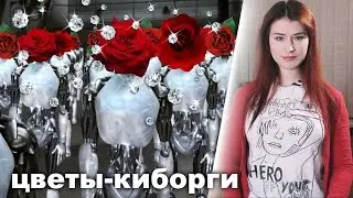 Когда 10 лет прожила в интернет-кафе