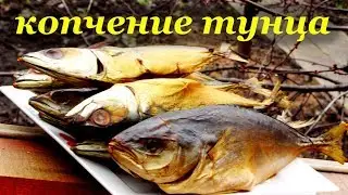 Рецепт копчения тунца и скумбрии от Алкофана