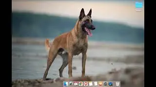 How to STOP your mac from UPDATING new macOS update