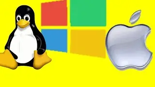 How An Operating System Works (and What Jobs It Does)