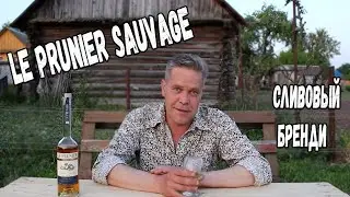 Странно, но прикольно. Le Prunier Sauvage