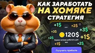 Тактика прокачки хомяка | Как заработать на Hamster Kombat