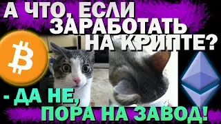 🚨Инвестирование в криптовалюту для начинающих. Кому стоит заниматься криптовалютой, а кому нет?