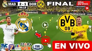 Real Madrid vs Dortmund en vivo, donde ver, a que hora juega FINAL Madrid vs Dortmund Champions 2024