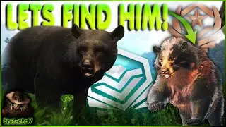 Starting The Great One Black Bear Grind With A Diamond! Hotspot Guide Call of the wild