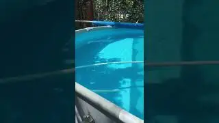 Кристальная вода в бассейне за 1000 рублей в сезон!