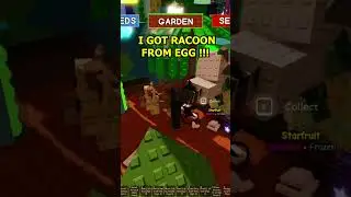I got a Racoon from Eggs Grow a Garden #roblox