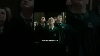 Драко Малфой во всех частях фильма Гарри Поттер. 