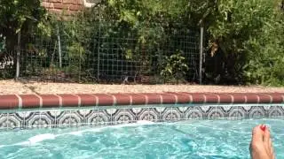 Heidi's Pool Tour, Part 1 (It's Never Too Hot in Houston!)