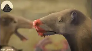 The largest Mammalian Carnivore that Turned out Not to Be