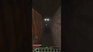 Minecraft is a horror game