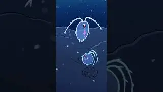 Atlantic Silver Hatchetfish 🪓🐟 