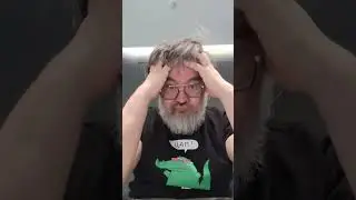 Какое наземное животное самое быстрое?
