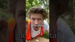 CONSTRUYO un RESTAURANTE para INSECTOS