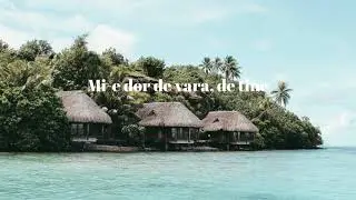Amna feat. Qupra - Arde versuri