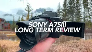 Should you buy the A7SIII? - long term review