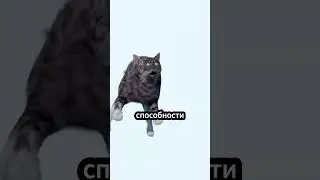 Всегда ли кошки приземляются на лапы? 🐱 #животные