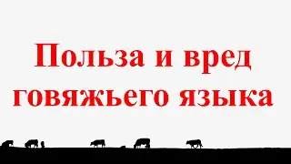 Польза и вред говяжьего языка!