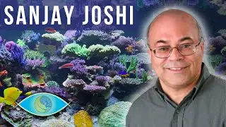 Don't Make These Reef Keeping Mistakes - Sanjay Joshi Reef Tank