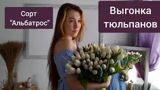 ⚫Собираем 