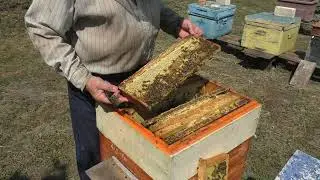ВОТ ЭТО ОСУШИЛ РАМКИ.