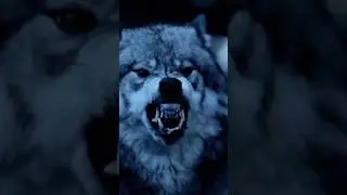 Собаки которые сильнее волка 🐺 