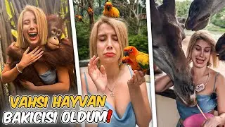 VAHŞİ HAYVAN BAKICISI OLDUM ! ( Saldırdılar ! ) - Tayland 9 - | Gözde Yıldız