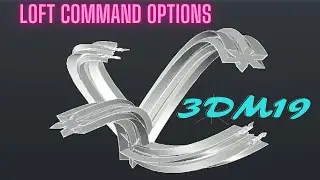 AutoCAD 3D LOFT Command Options
