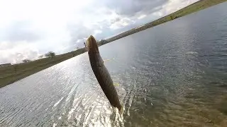 Рыбалка. Отводной поводок.