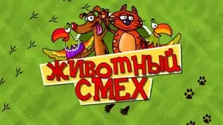 Животный смех (СТС, декабрь 2012)