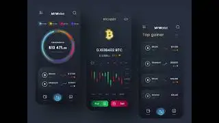 Crypto wallet app animation