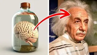 Penemuan Besar Einstein + Fakta Sejarah Lain yang Mungkin Tidak Anda Ketahui