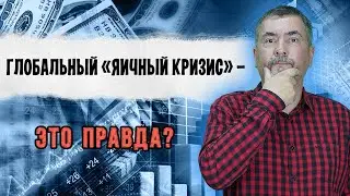Глобальный «яичный кризис» – это правда