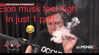 Tesla CEO elon musk smoke weed joe rogan podcast interview