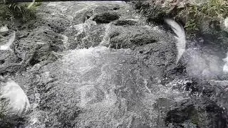 natural flowing water and pianos sound to heal your mind